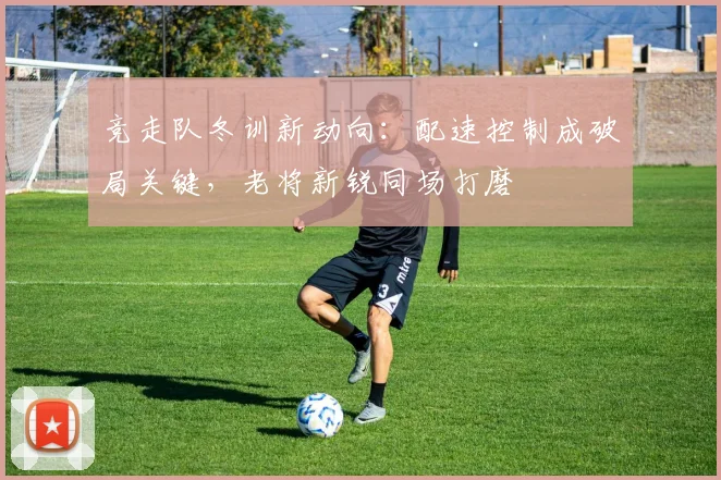 竞走队冬训新动向：配速控制成破局关键，老将新锐同场打磨