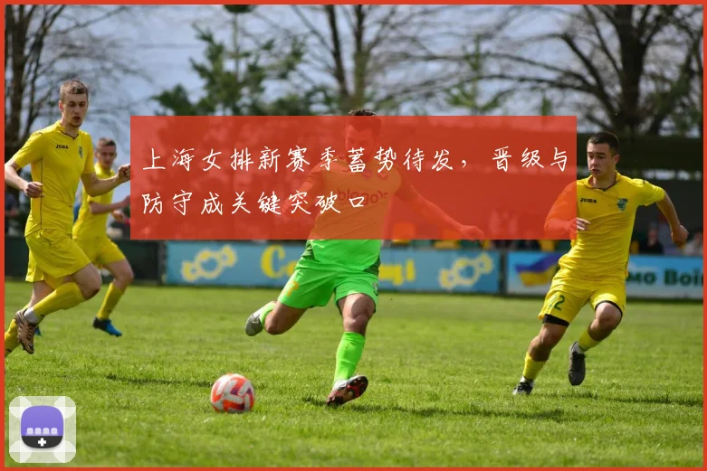 上海女排新赛季蓄势待发，晋级与防守成关键突破口