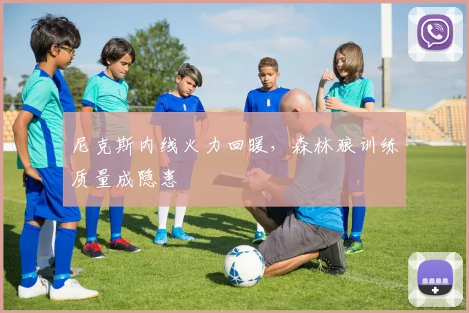 尼克斯内线火力回暖，森林狼训练质量成隐患